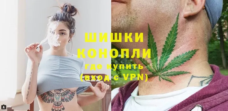 купить   Прокопьевск  Канабис OG Kush 